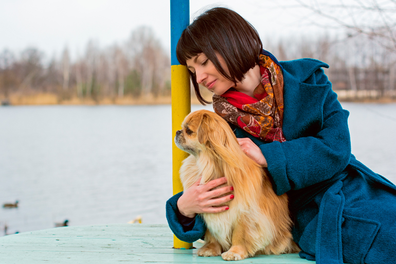 humana acariciando a perro pekines