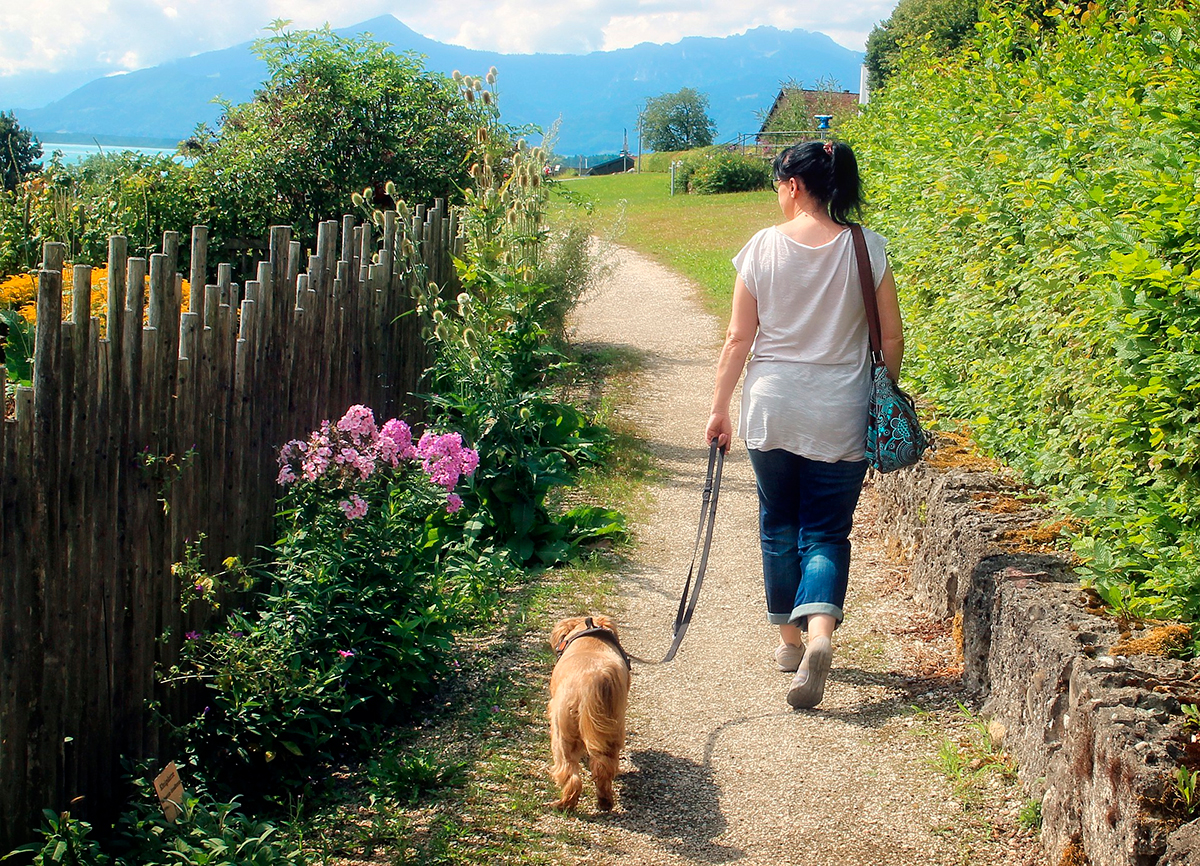 mujer paseando con su perro