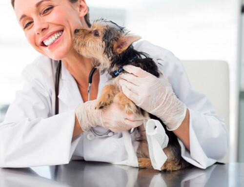 ¿Qué es la terapia láser?